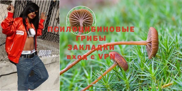 соль ск Алзамай