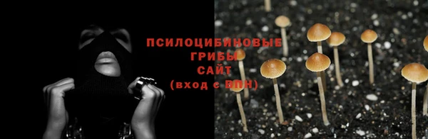 синтетический гашиш Алексеевка